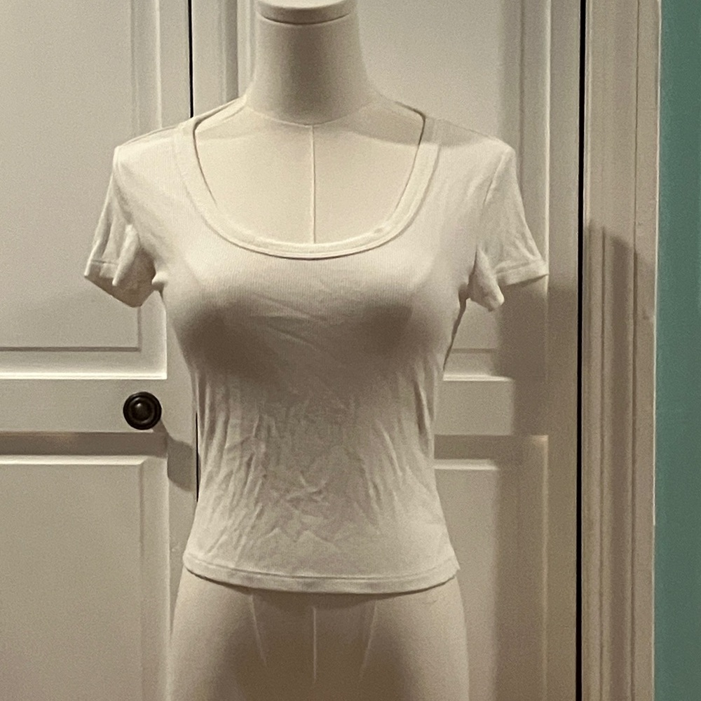 Pink Rose White Crop Top